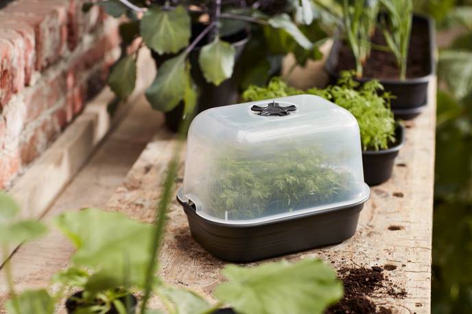 green basics anzucht schale s living schwarz